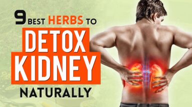 How Can I Heal My Kidneys Naturally Herbal Renal Detox Cleanse at Home⚡🥵😌