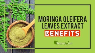 Moringa Oleifera Leaves Extract Benefits for Health| Immunity Booster😷☘😲👌