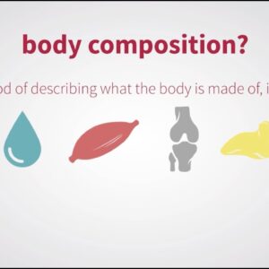 What is Body Composition? | ThreeHealth