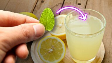 Why Experts Recommend That You Put A Mint Leaf In Your Lemonade